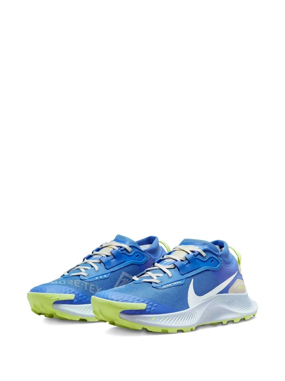 Nike Pegasus Trail 3 Gore-Tex