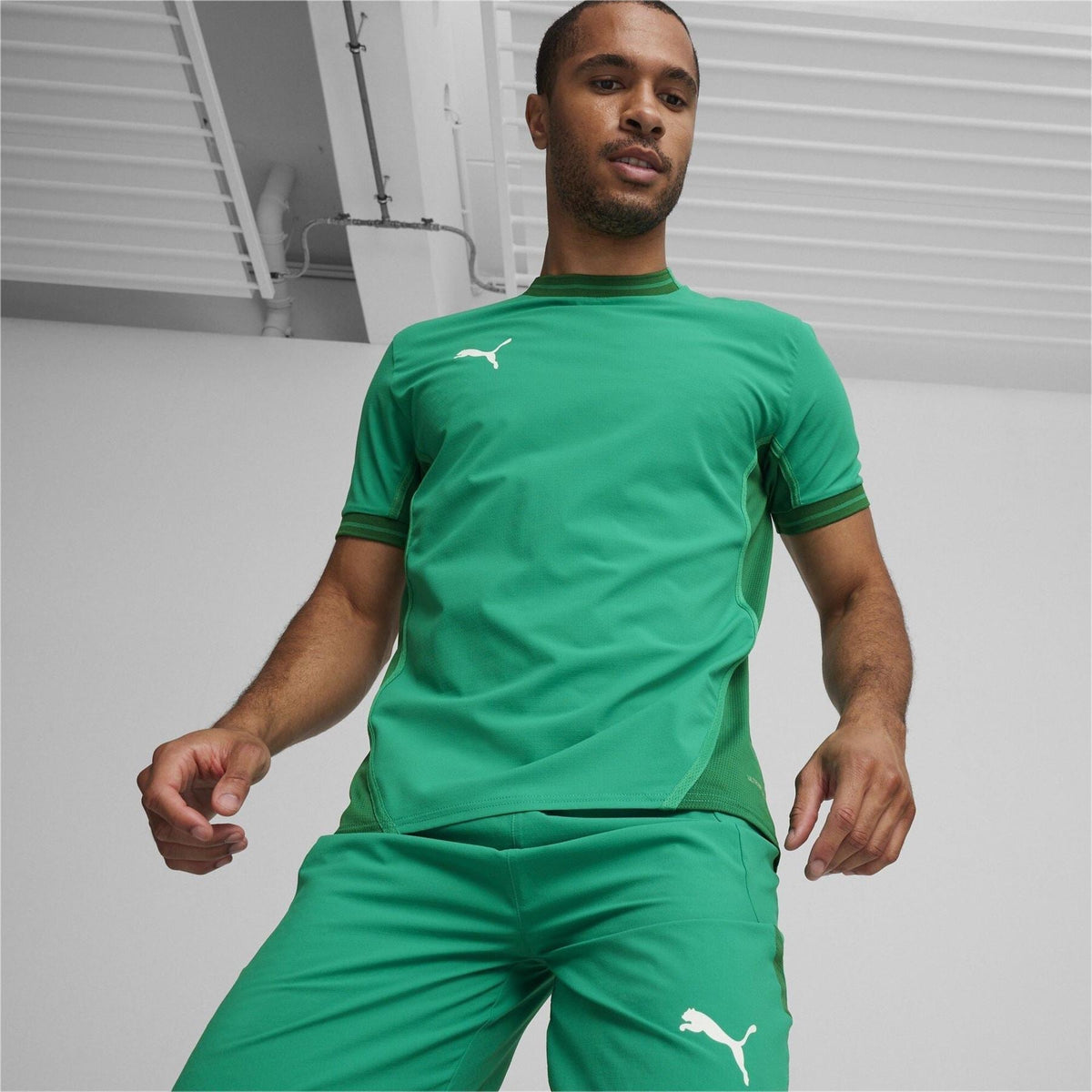 Puma Mens Teamfinal Jersey T-Shirt