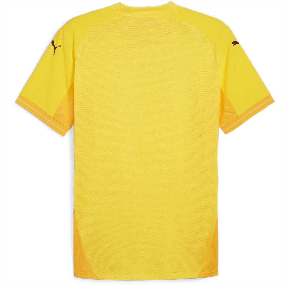 Puma Mens Teamfinal Jersey T-Shirt