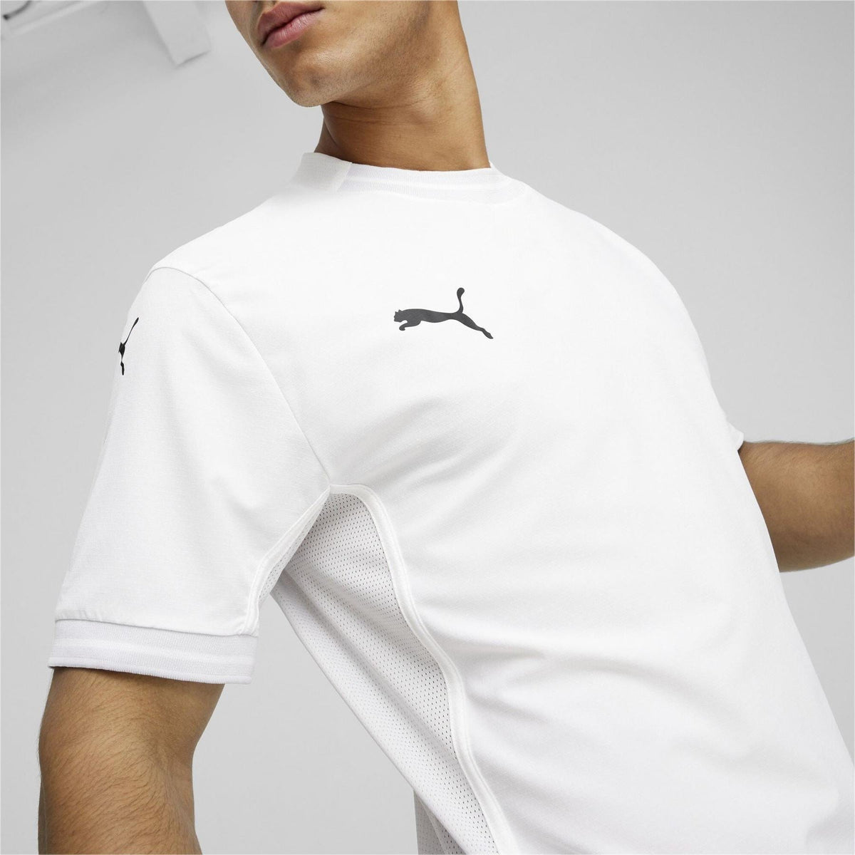 Puma Mens Teamfinal Jersey T-Shirt