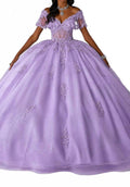 Short Sleeve Embroidered Ballgown In Orchid