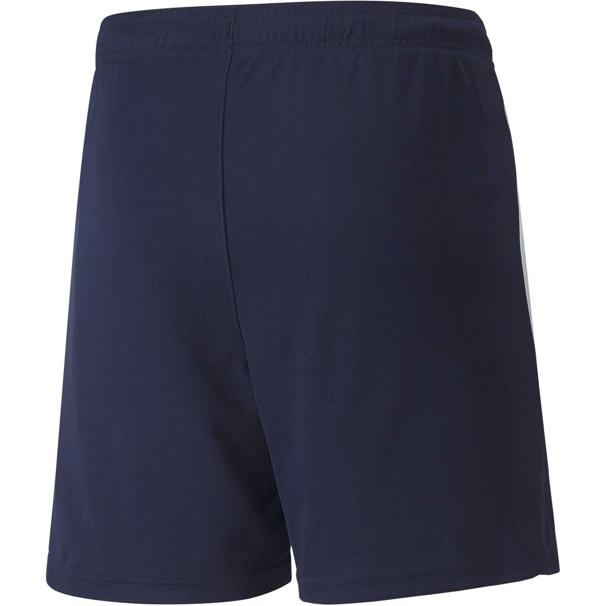 Puma Teamliga Shorts Jr Football Short Unisex Kids