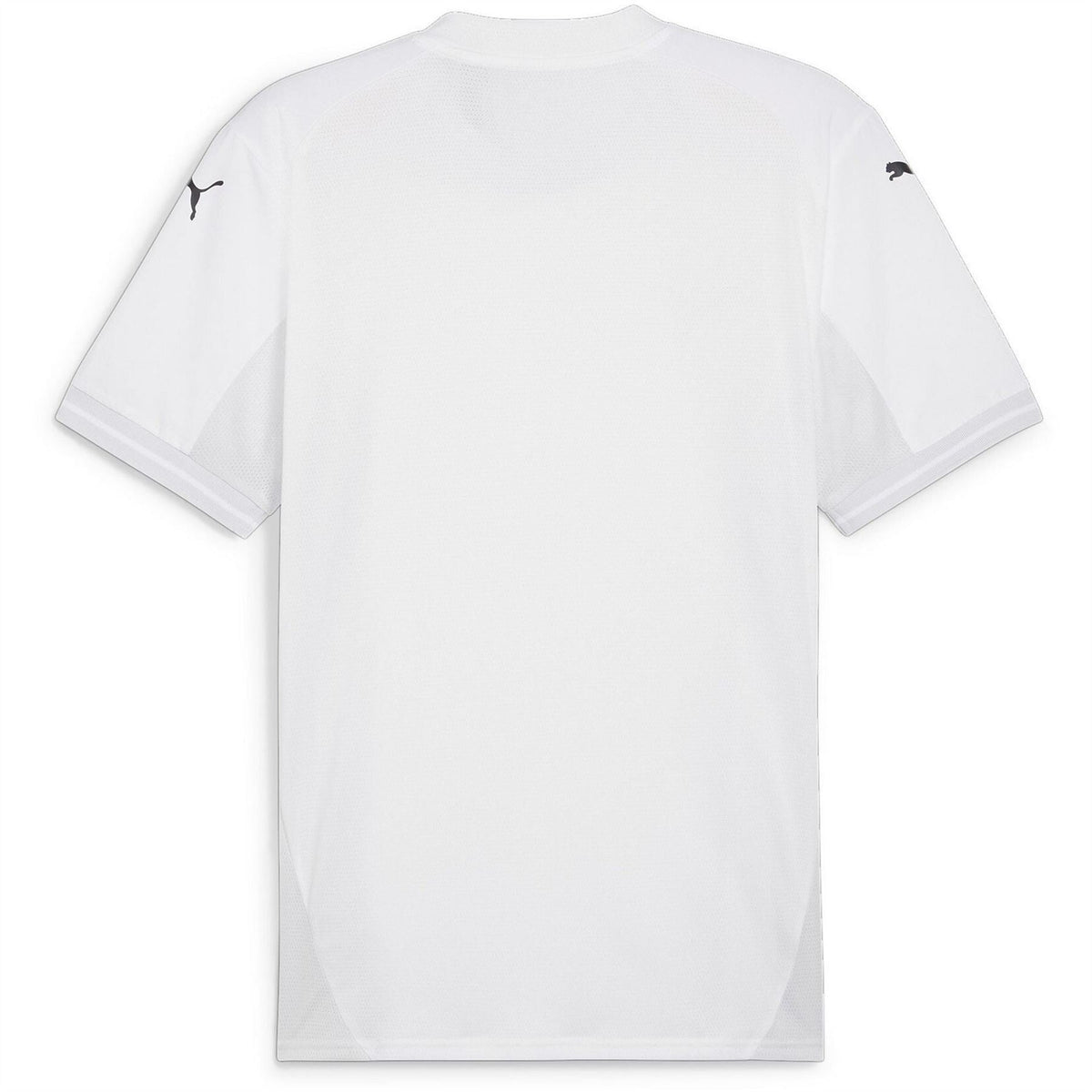 Puma Mens Teamfinal Jersey T-Shirt