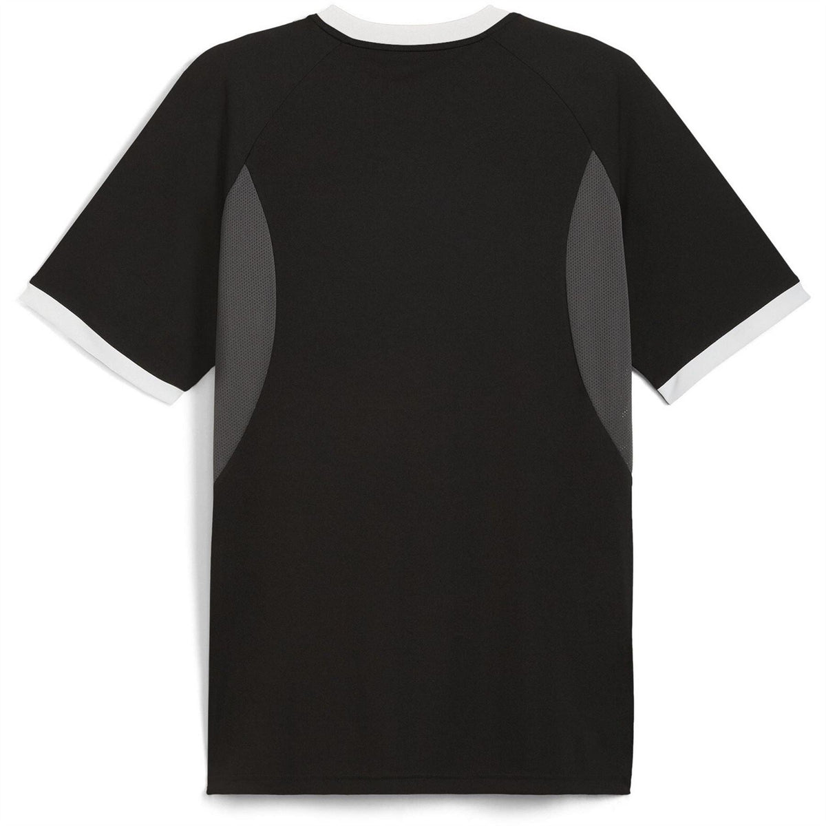 Puma Mens Individualliga Jersey T-Shirt