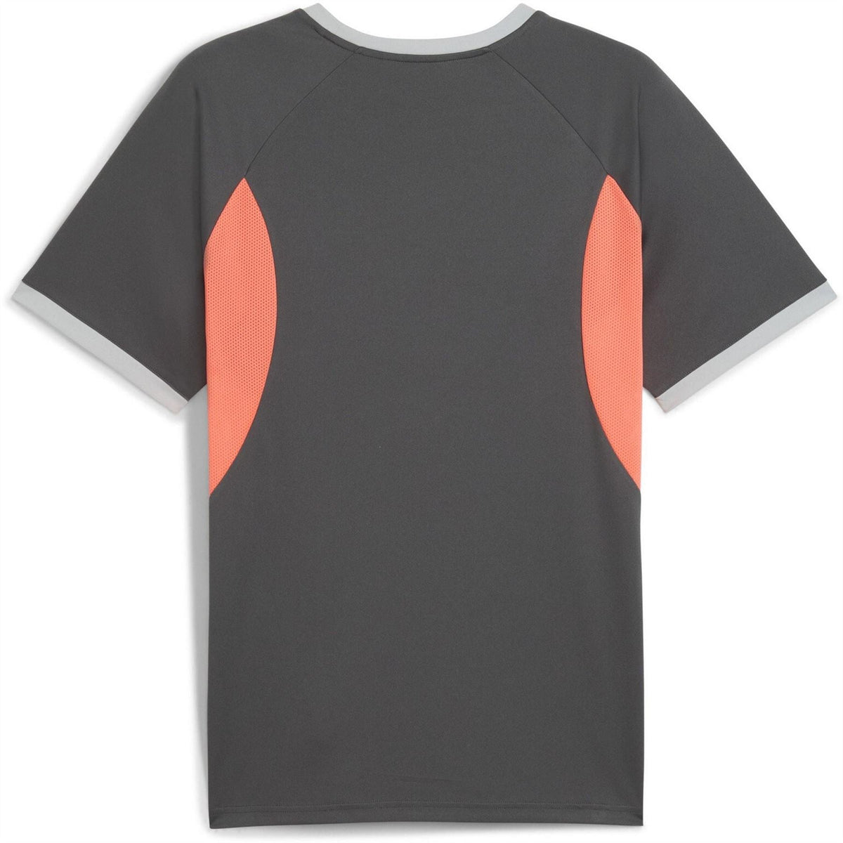 Puma Mens Individualliga Jersey T-Shirt