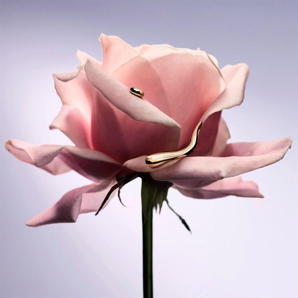 Lancome Vie Est Belle Lextrait De Parfum