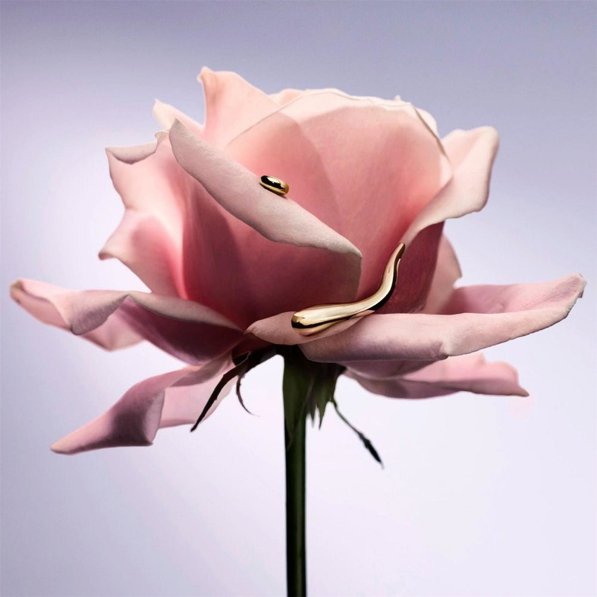 Lancome Vie Est Belle Lextrait De Parfum