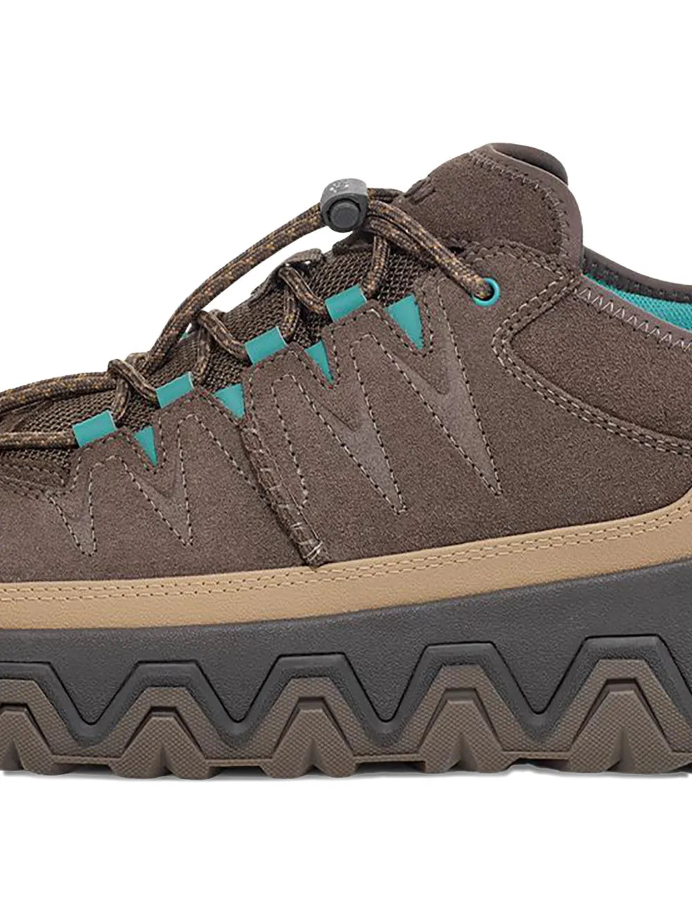 Ugg Captrail Low Lace-Up Sneakers