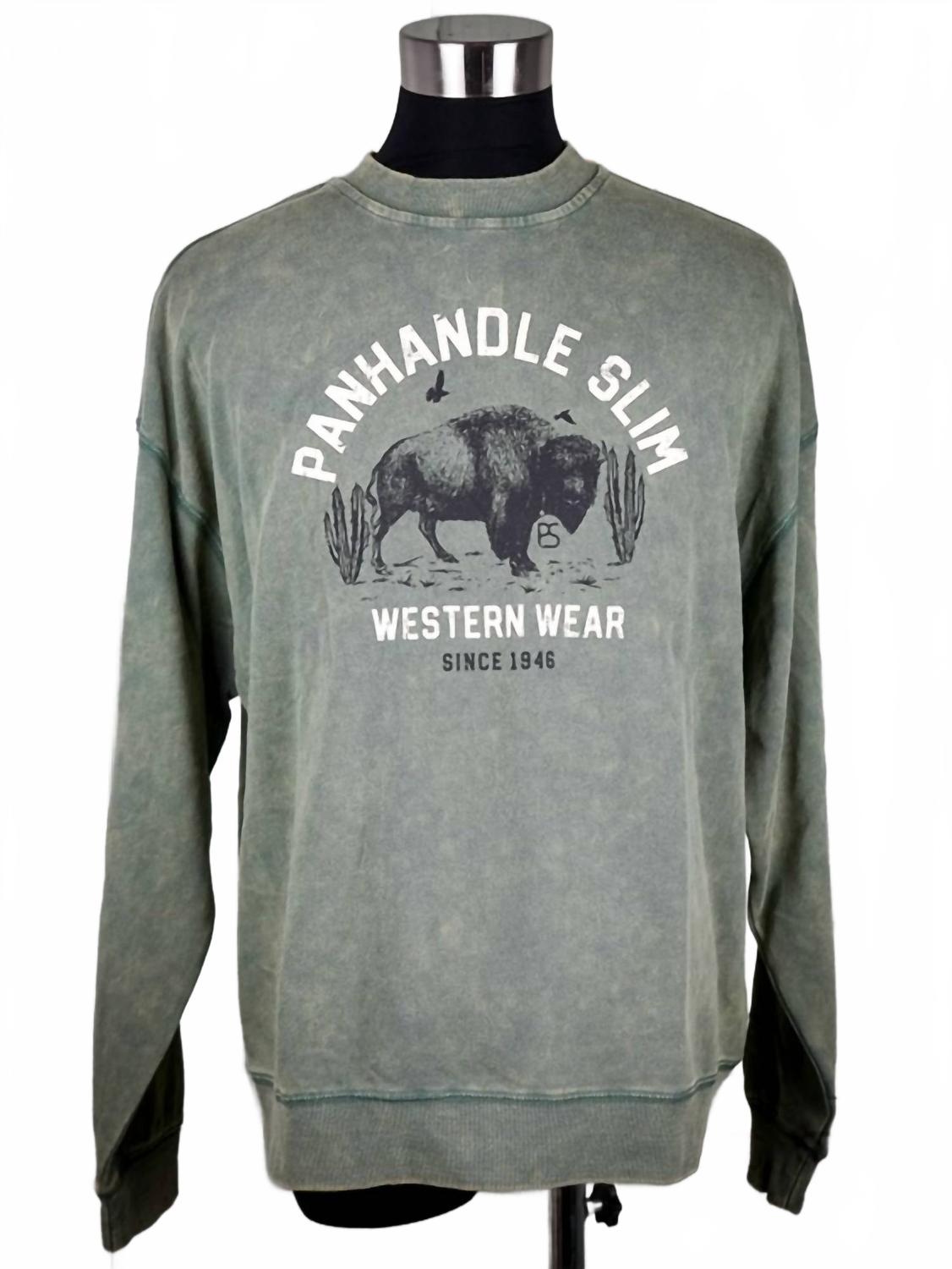 Buffalo Graphic Pullover Sweatshirt In Jade