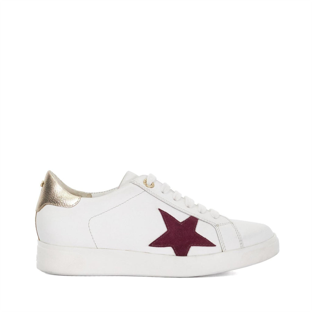 Dune Lo Edriss Star Lace Up Canvas Low Top Sneakers