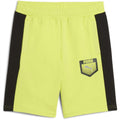 Puma Active Sports Graphic Sweat Shorts with Elasticated Waistband