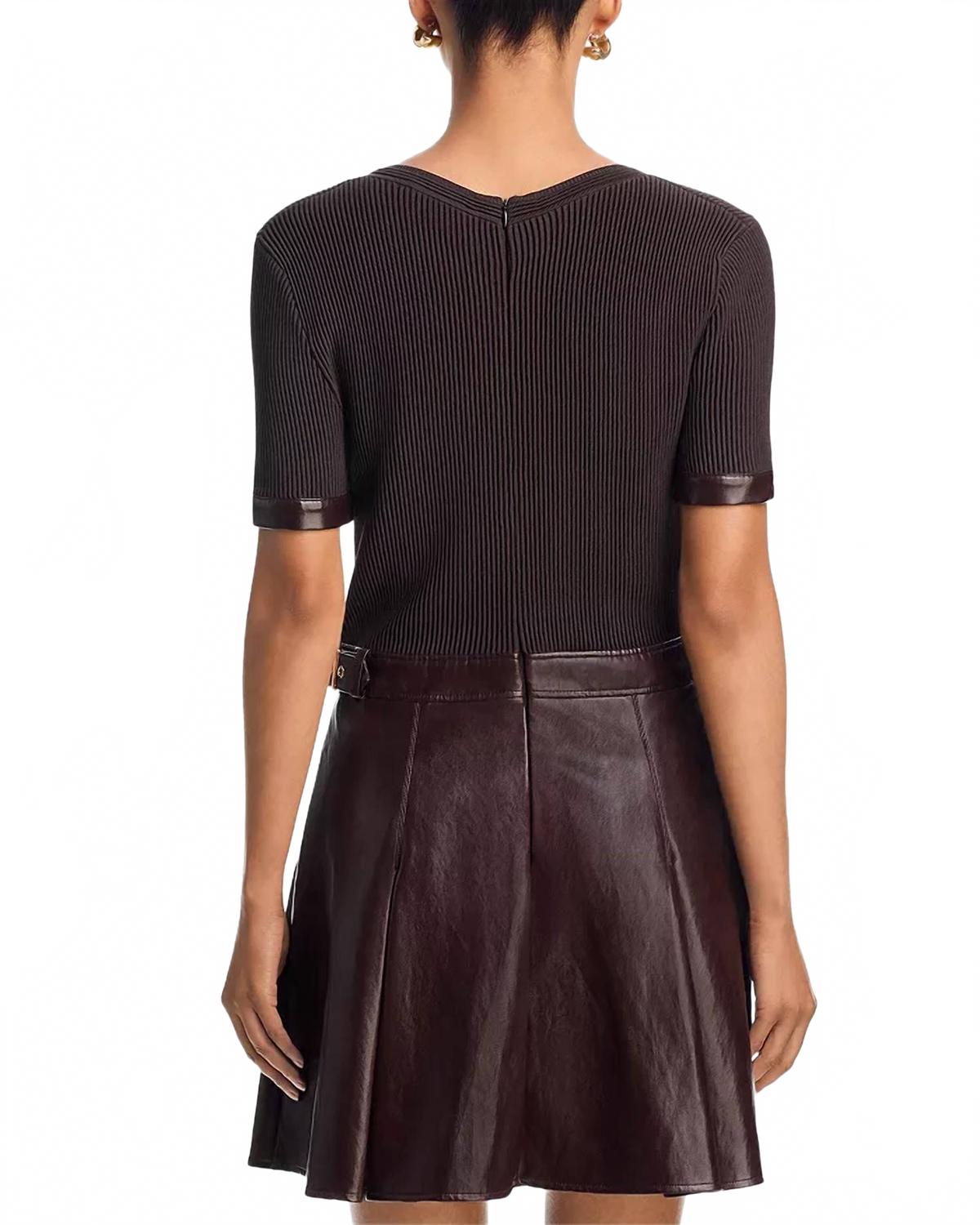 Devyn Knit Skirt Mini Dress In Brown