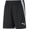 Puma Teamliga Training Shorts Jr Football Short Unisex Kids
