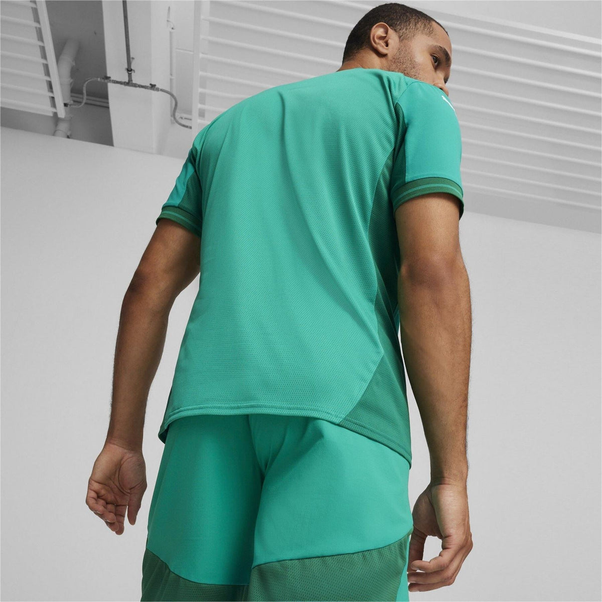 Puma Mens Teamfinal Jersey T-Shirt