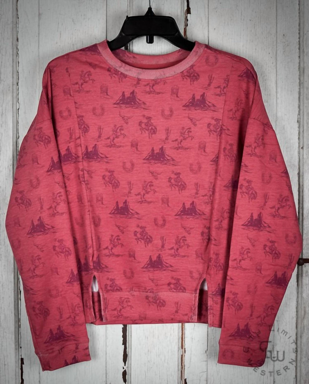 Conversational Pullover Sweatshirt In Rust