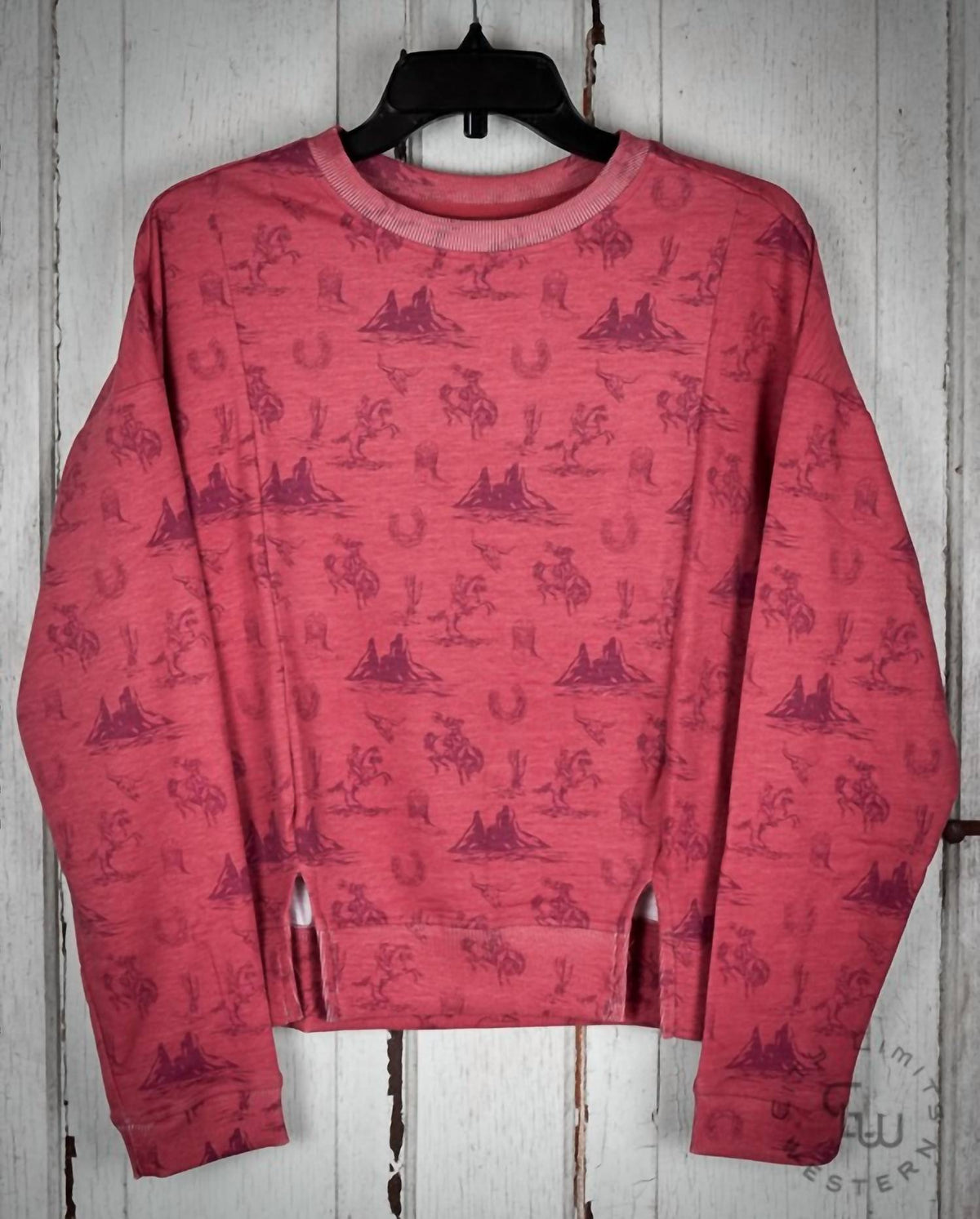 Conversational Pullover Sweatshirt In Rust