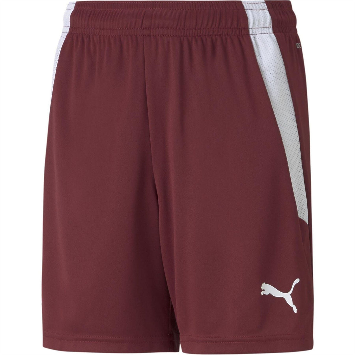 Puma Teamliga Shorts Jr Football Short Unisex Kids