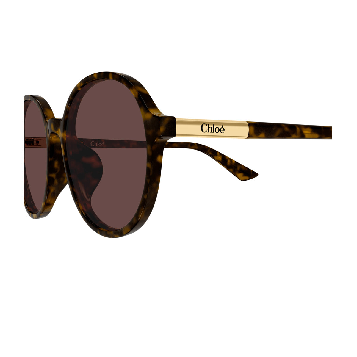 Round Sunglasses In Recycled Acetate With Havana Brown Frame