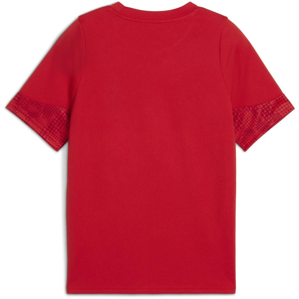Puma Football Jersey Short Sleeve Performance T-Shirt