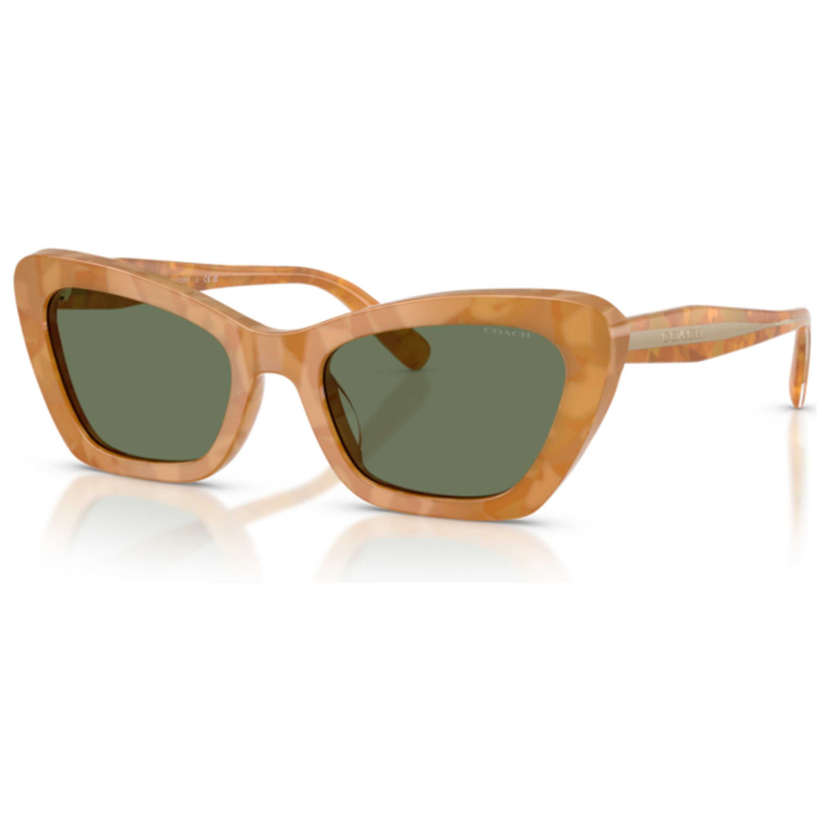 Coach Women's 54mm Brown Sunglasses HC8452U-593982-54