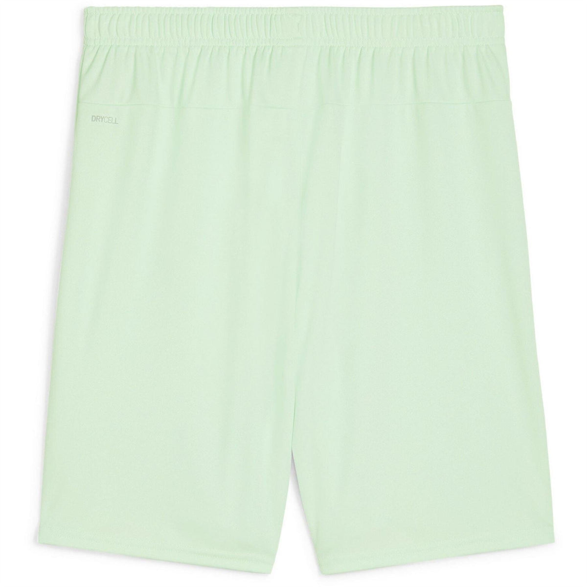 Puma Mens Teamgoal Shorts Football Shorts