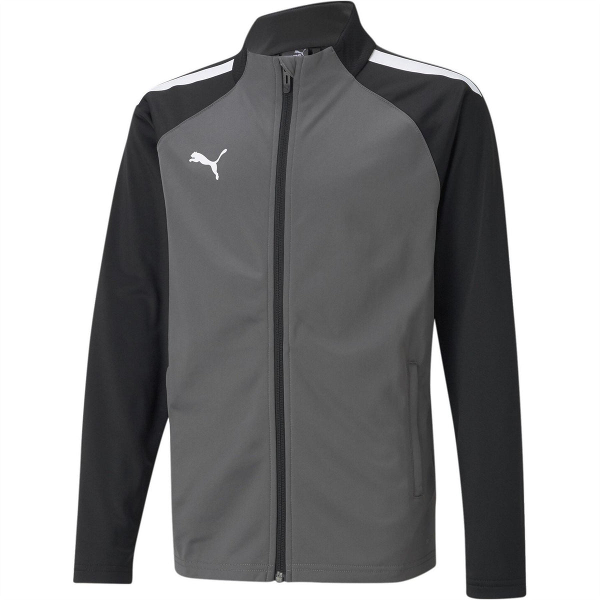 Puma Teamliga Training Jacket Jr Tracksuit Top Unisex Kids