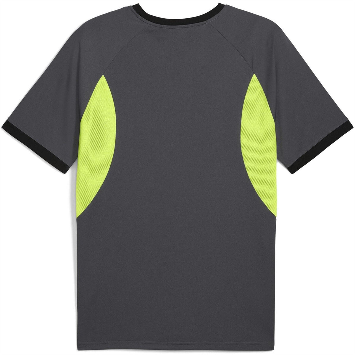 Puma Mens Individualliga Jersey T-Shirt