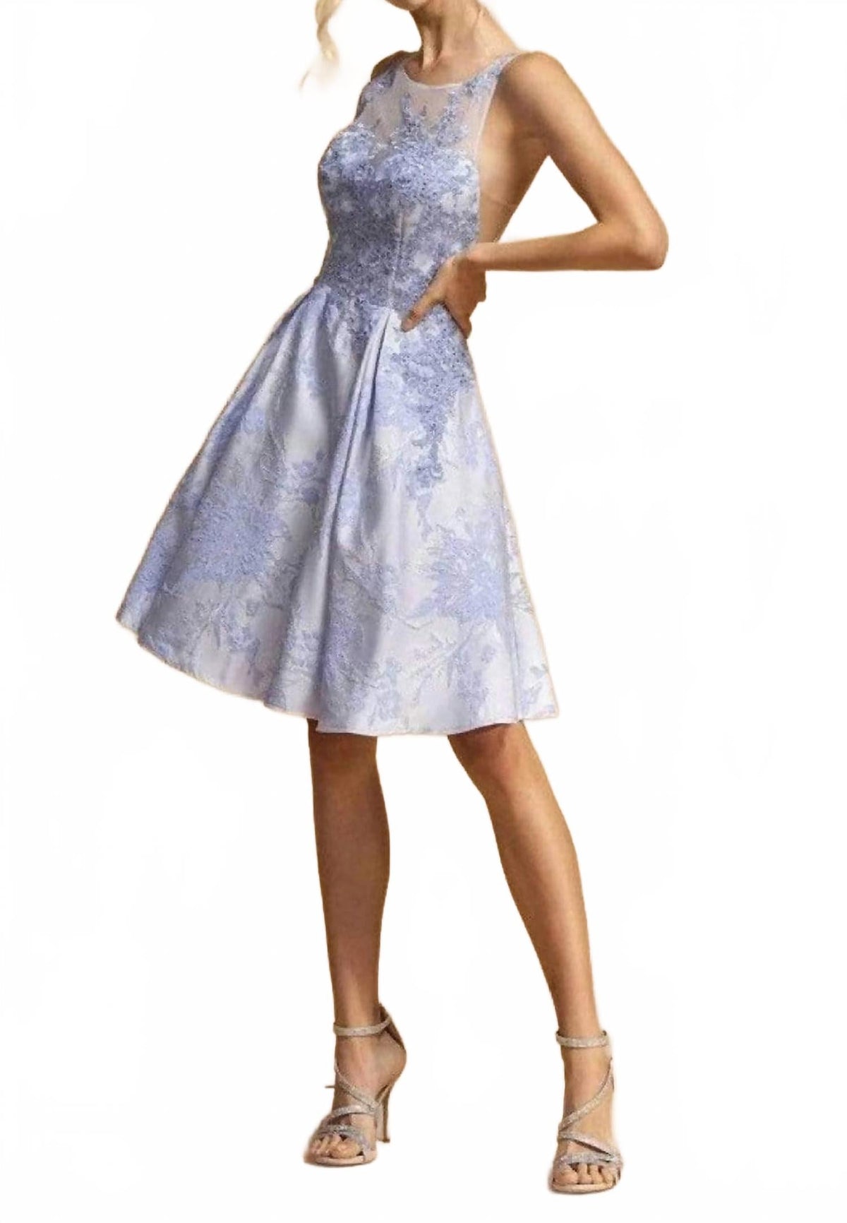 Illusion Jewel Applique Dress In Perry Blue