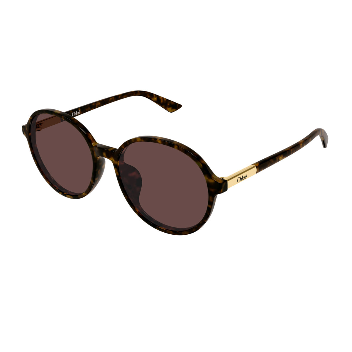 Round Sunglasses In Recycled Acetate With Havana Brown Frame