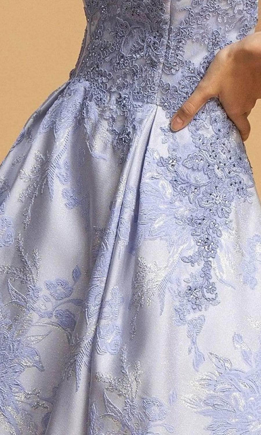 Illusion Jewel Applique Dress In Perry Blue