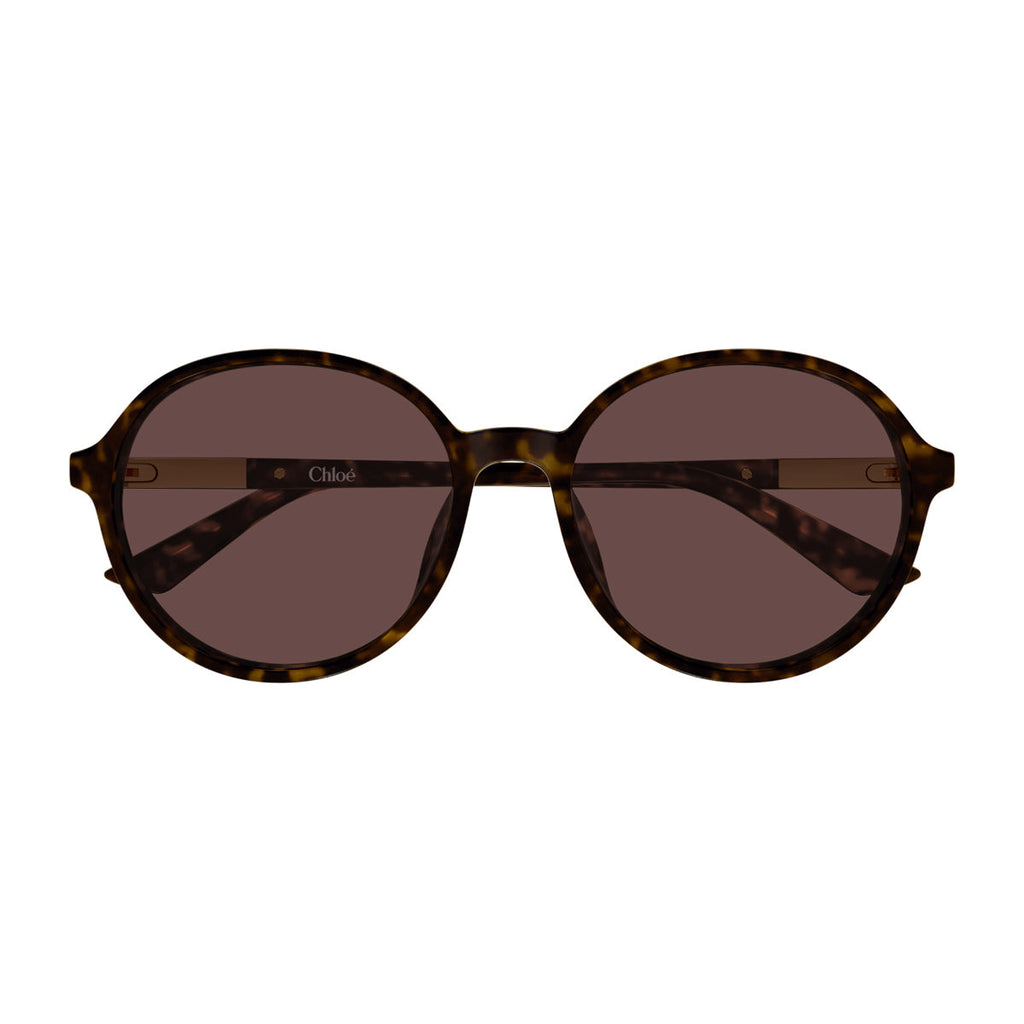 Round Sunglasses In Recycled Acetate With Havana Brown Frame