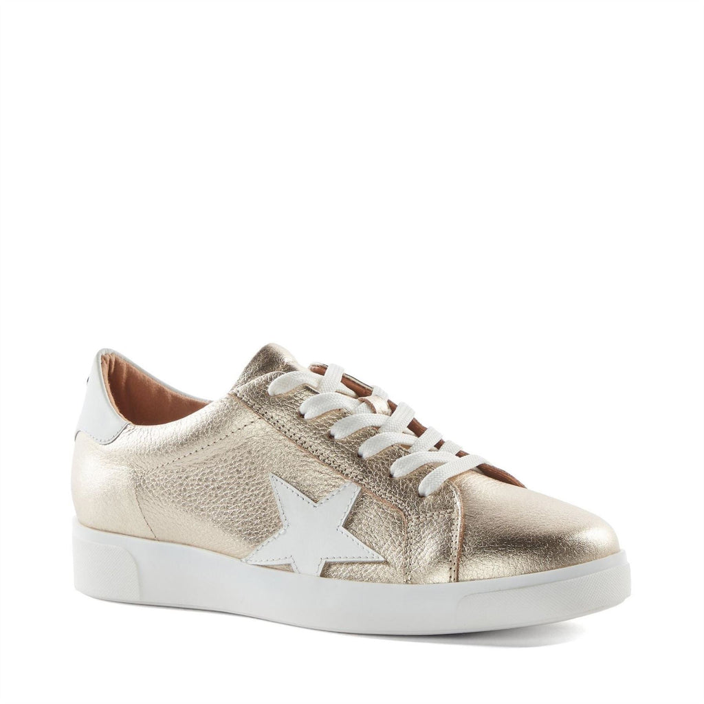 Dune Lo Edriss Star Lace Up Canvas Low Top Sneakers
