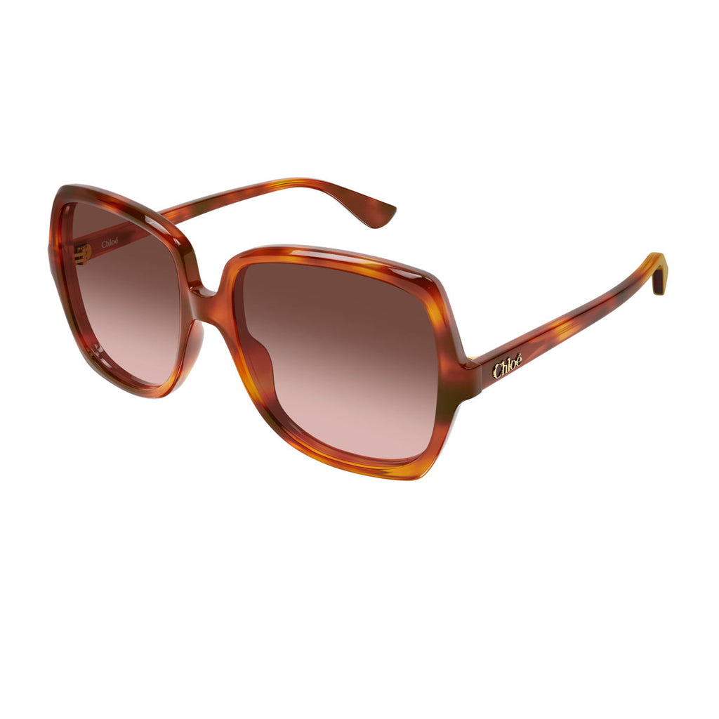 Havana Copper Sunglasses With Rounded Edges And Gradient Lenses