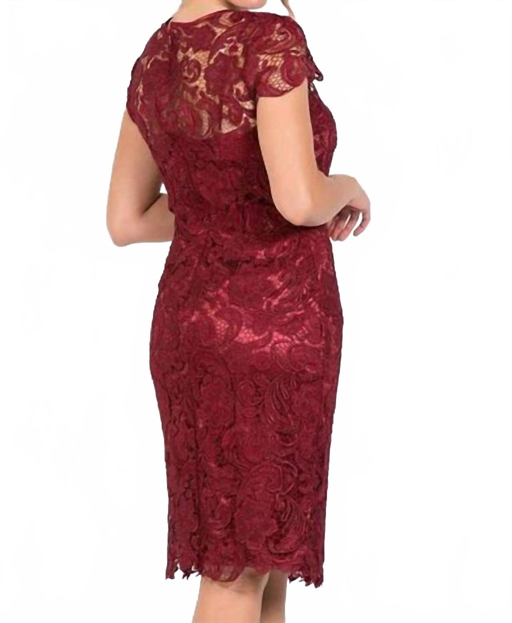 Jewel Scalloped Lace Cocktail Midi Dress - Plus In Burgundy