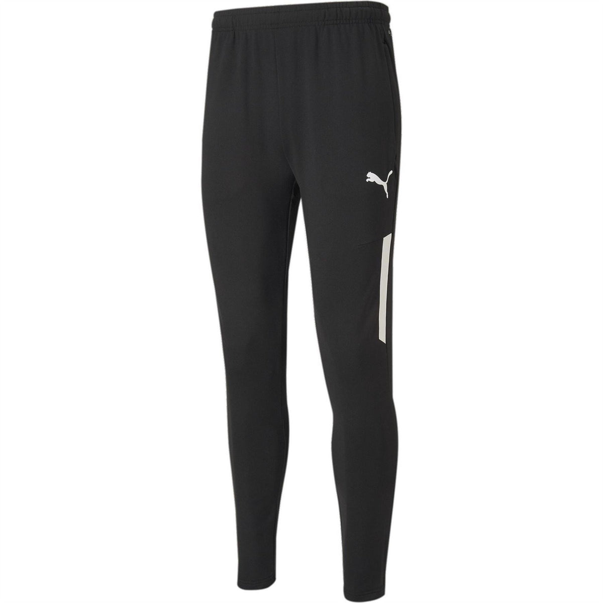 Puma Mens Teamliga Training Pants Pro Tracksuit Bottom