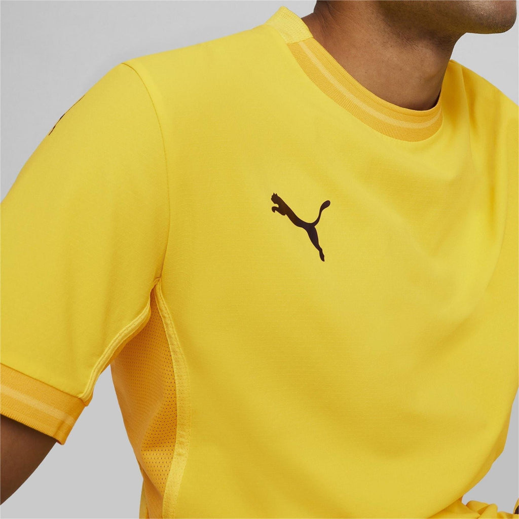 Puma Mens Teamfinal Jersey T-Shirt