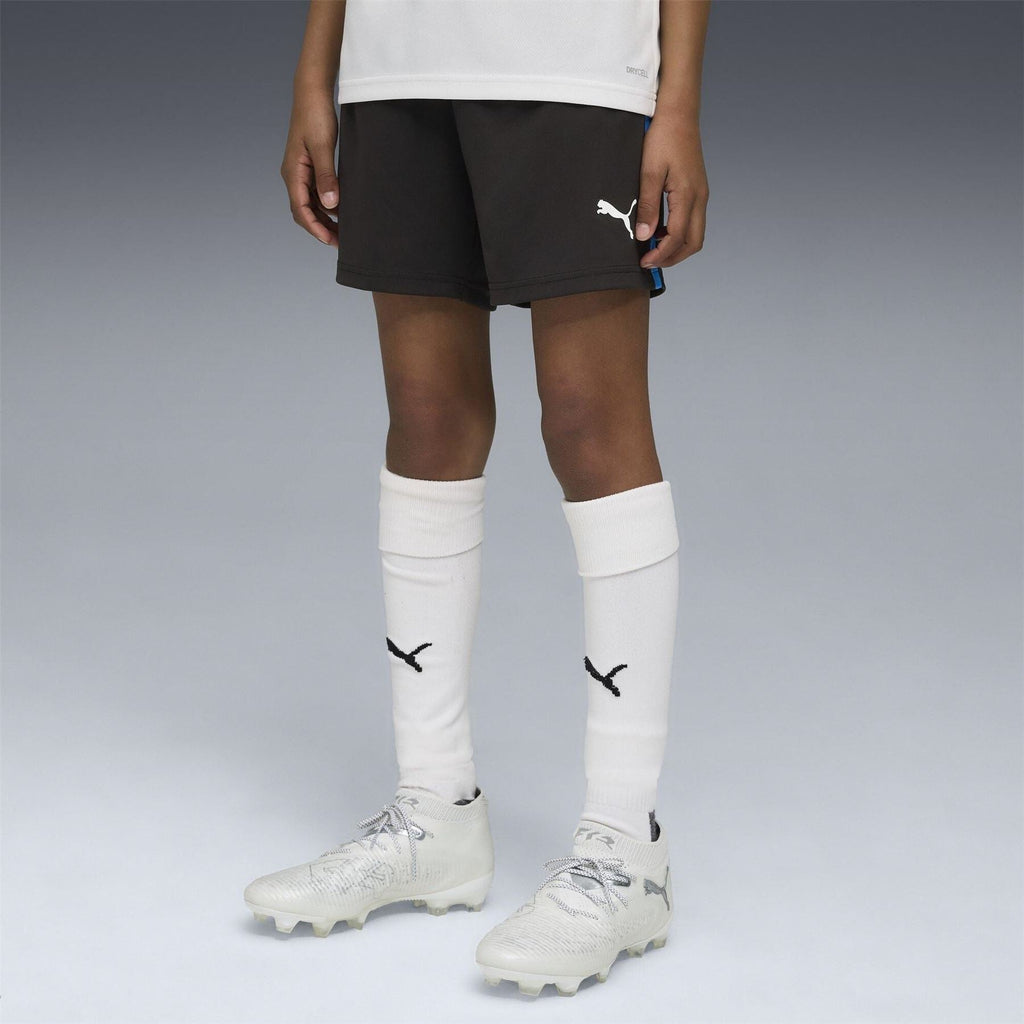 Puma Individualliga Training Football Shorts