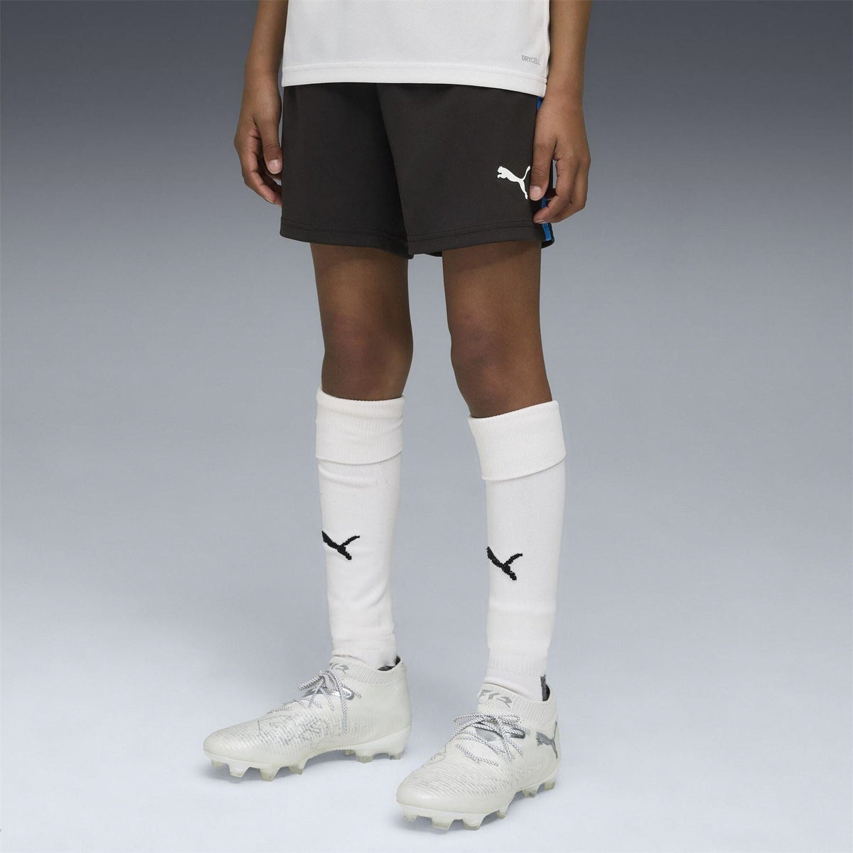 Puma Individualliga Training Football Shorts