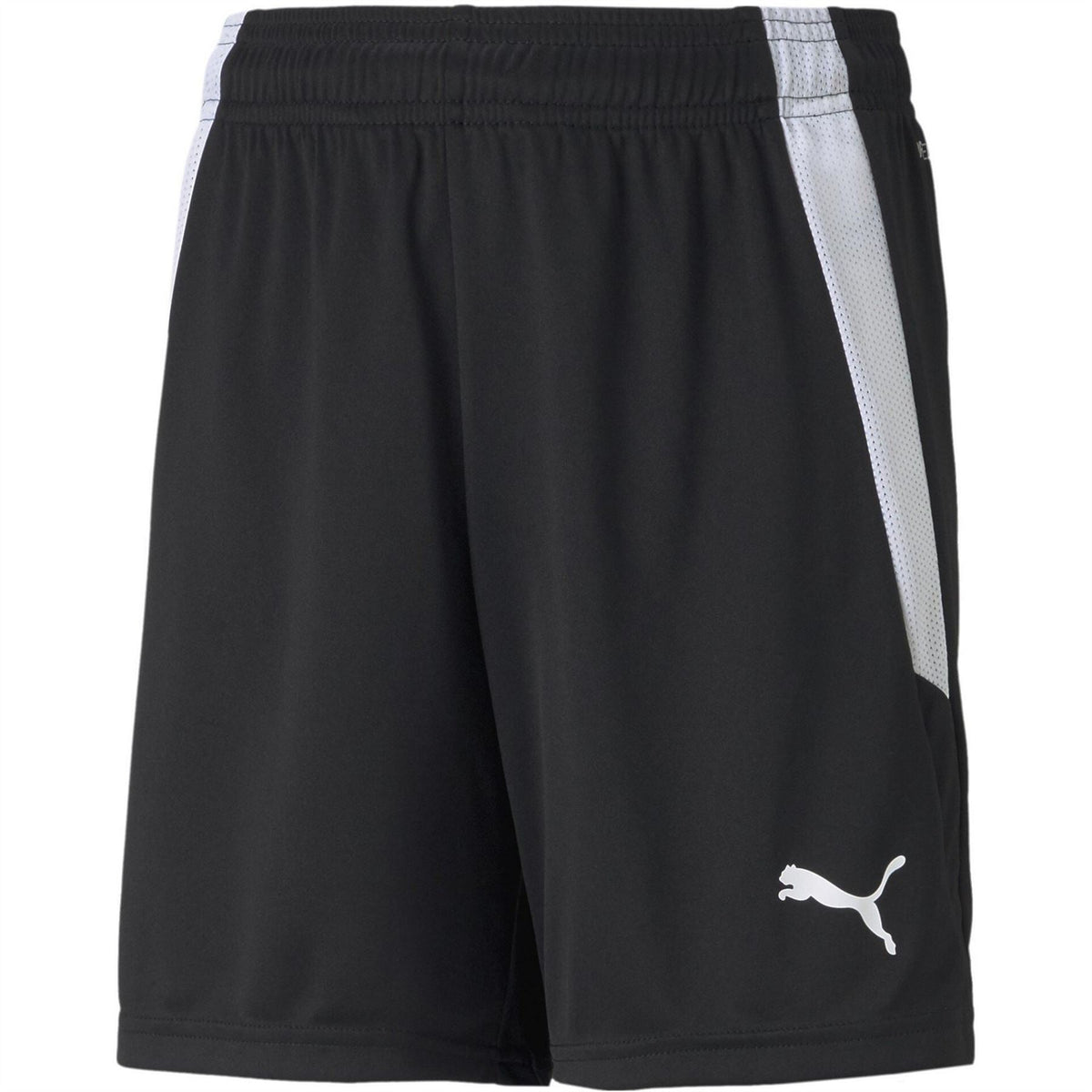 Puma Teamliga Shorts Jr Football Short Unisex Kids