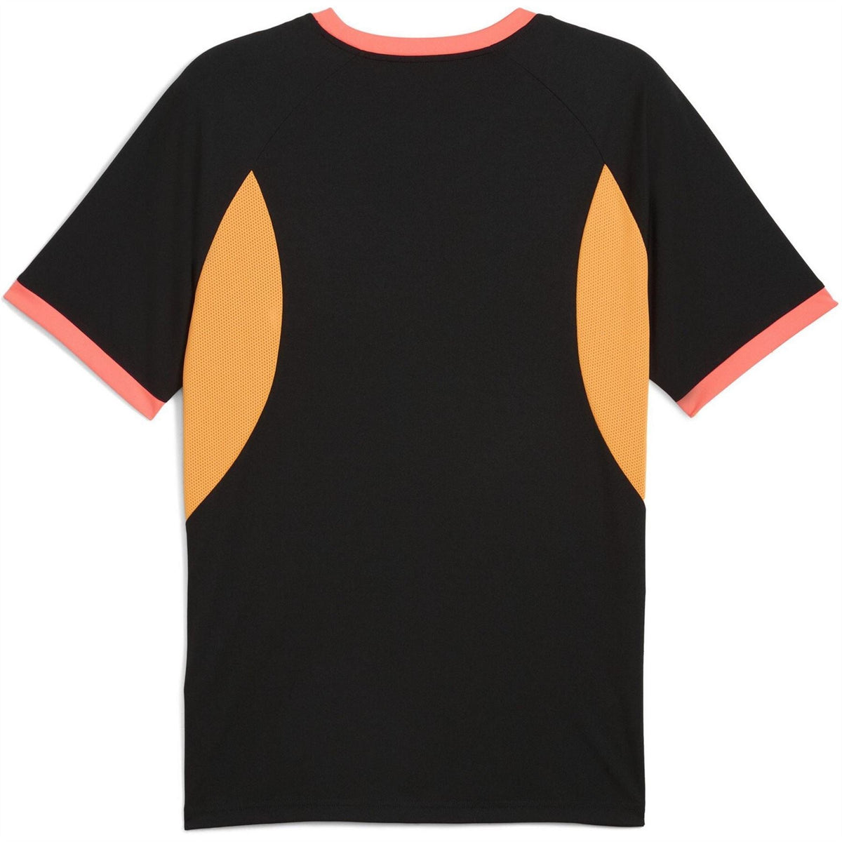 Puma Mens Individualliga Jersey T-Shirt