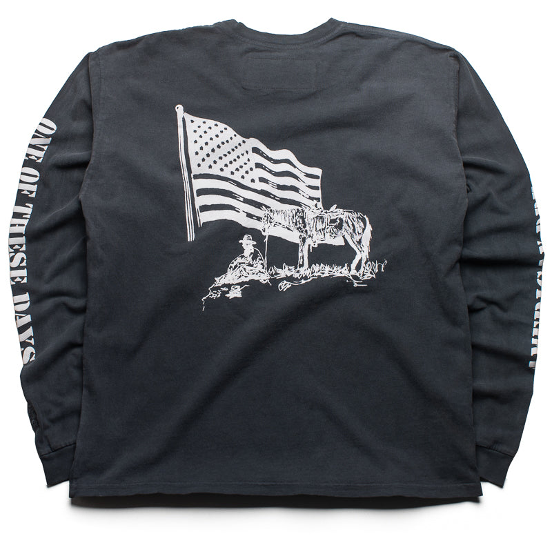 One Of These Days American Flag L/S Tee - Washed Black