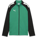Puma Teamliga Training Jacket Jr Tracksuit Top Unisex Kids