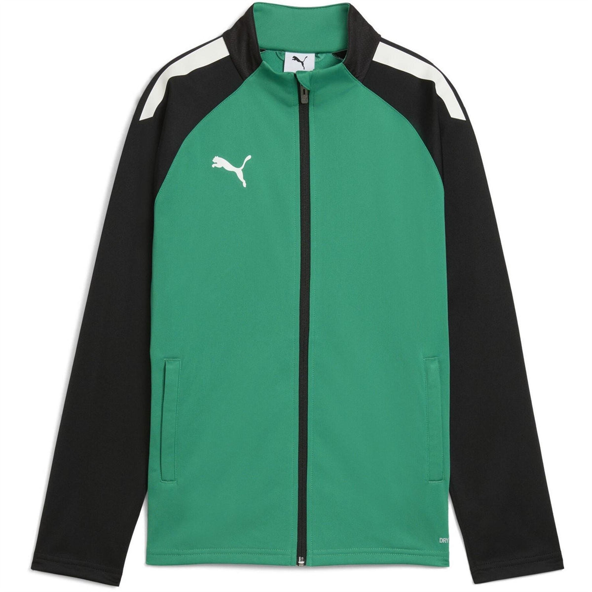 Puma Teamliga Training Jacket Jr Tracksuit Top Unisex Kids