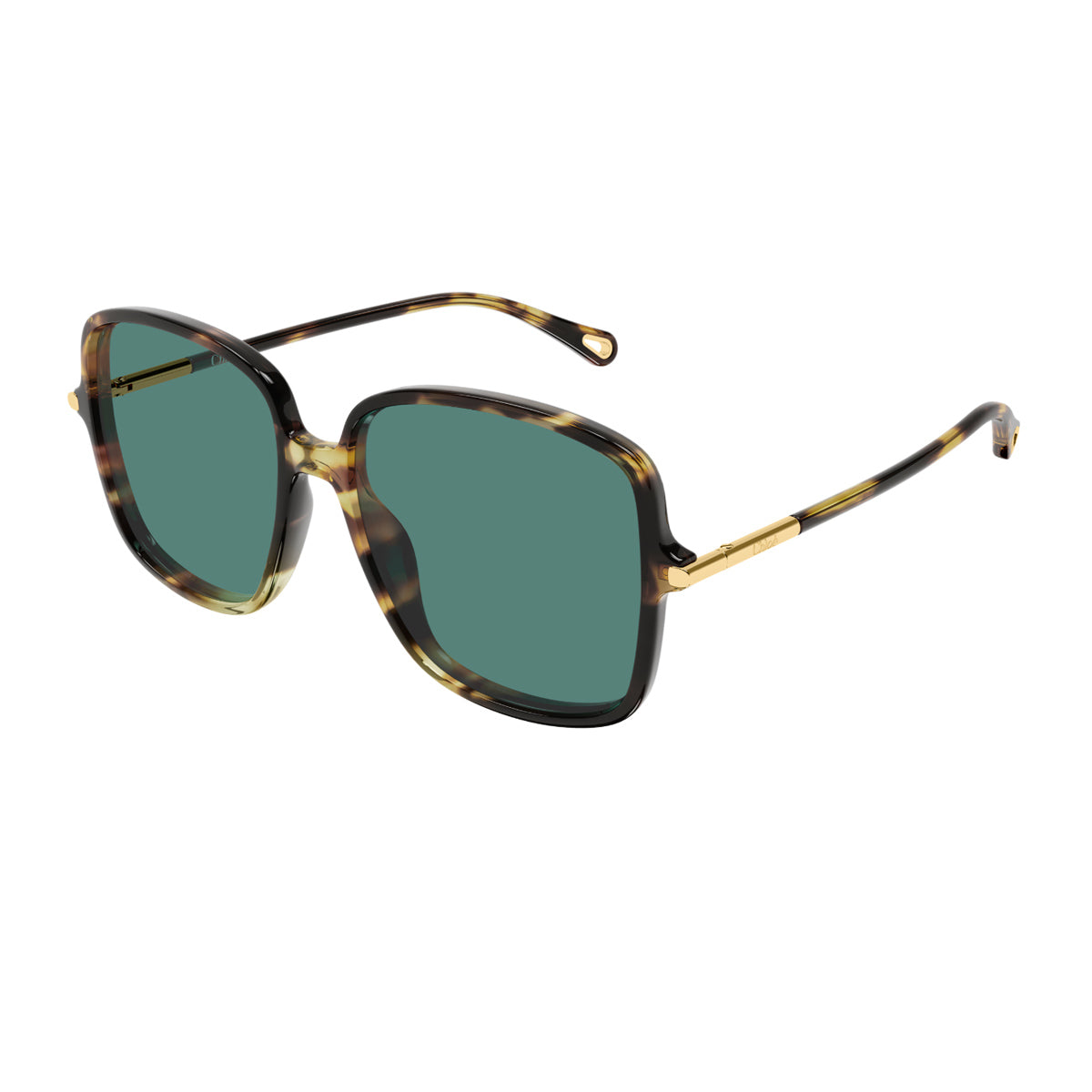 Havana Green Ch0396s Recycled Acetate Large Square Sunglasses