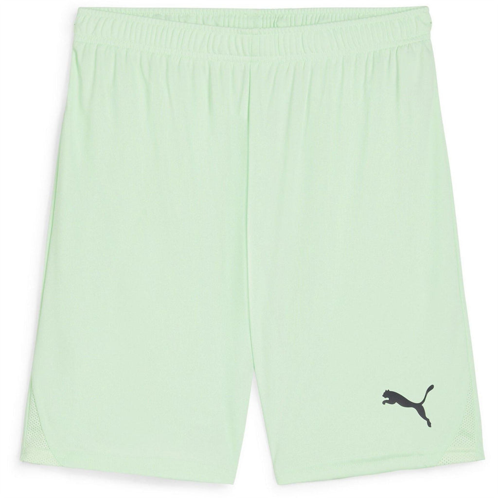 Puma Mens Teamgoal Shorts Football Shorts