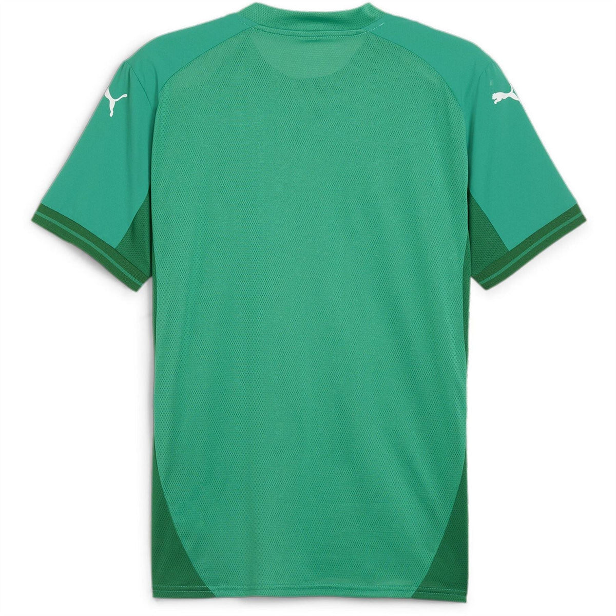 Puma Mens Teamfinal Jersey T-Shirt