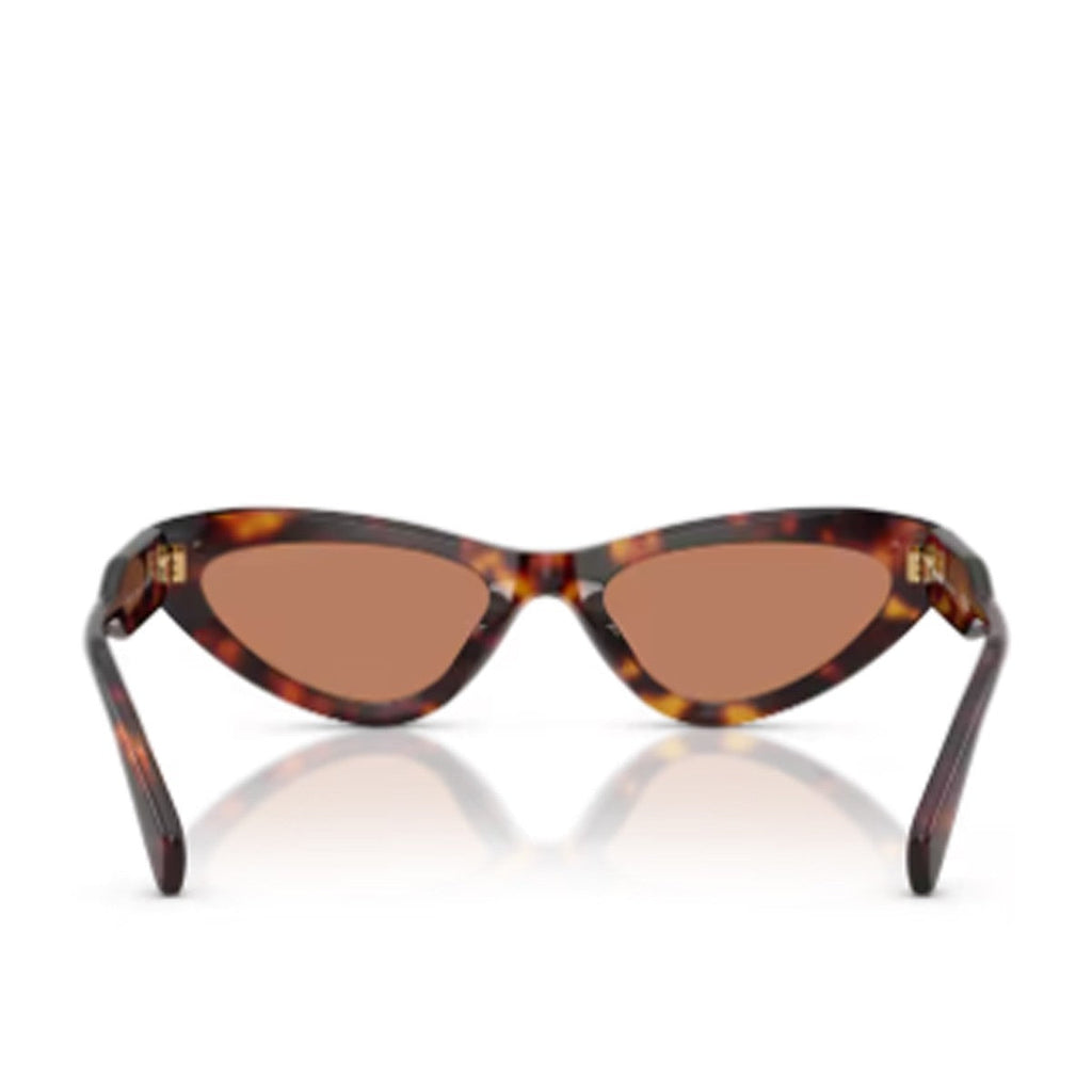 Havana B11su Acetate Narrow Cat-Eye Sunglasses