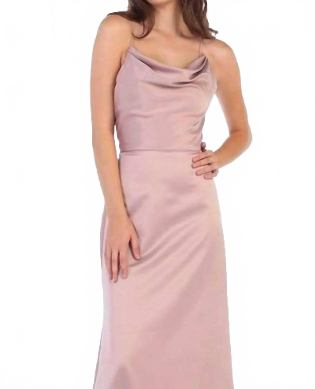 Halter Neck Strappy Back Satin A-Line Gown In Mauve