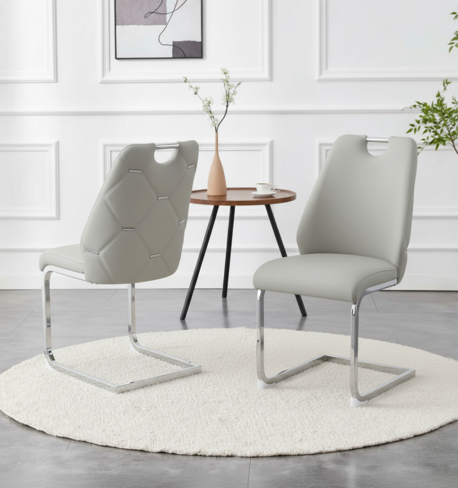 Set of 2 Contemporary Dining Room Chairs with Cushioned Seating