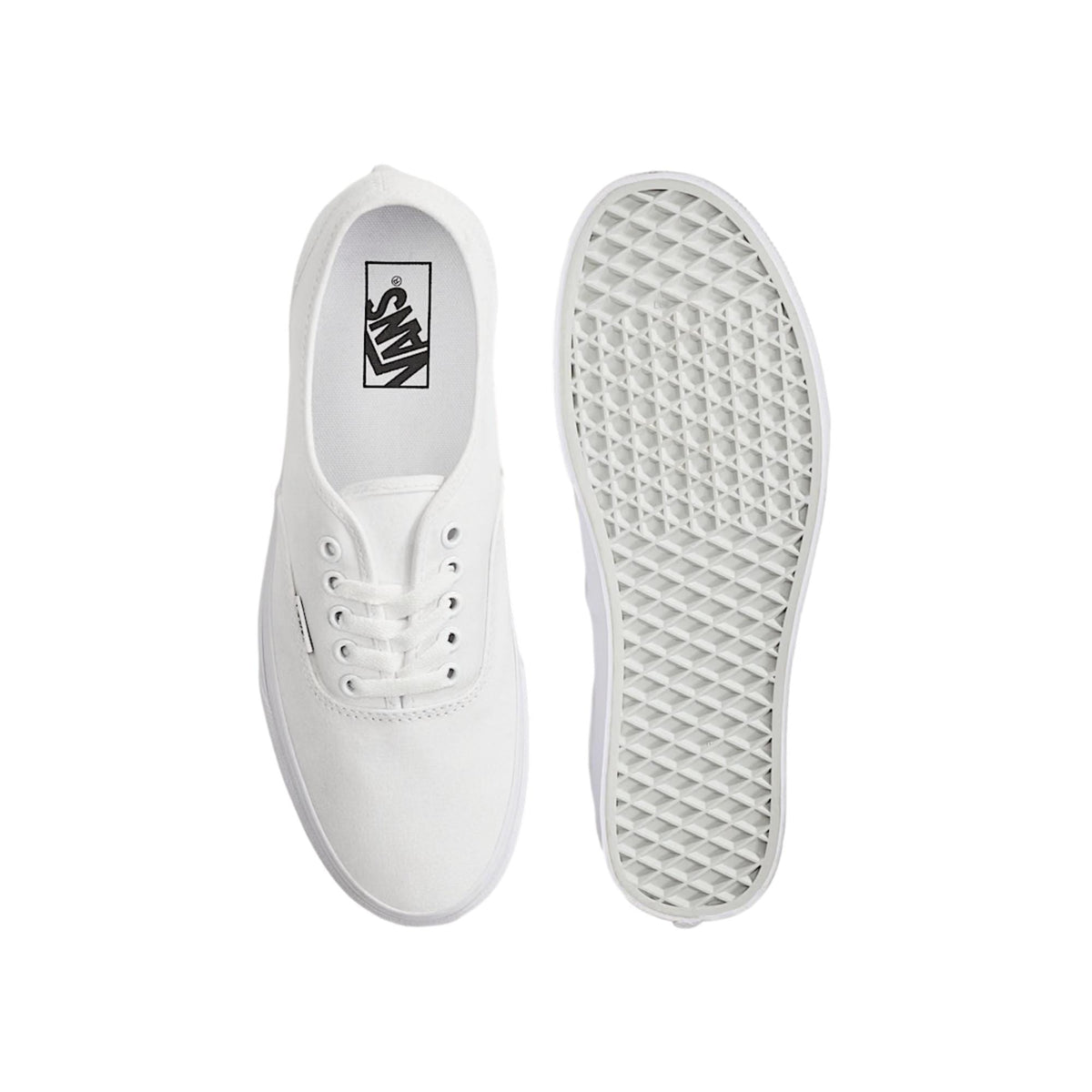 Vans Authentic True White  VN000EE3W00 Men's